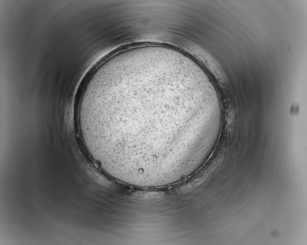 X0000102520884200808221839