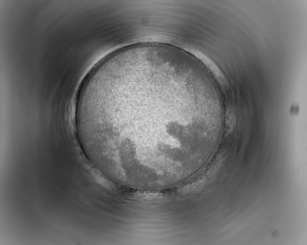 X0000102520886200808221839