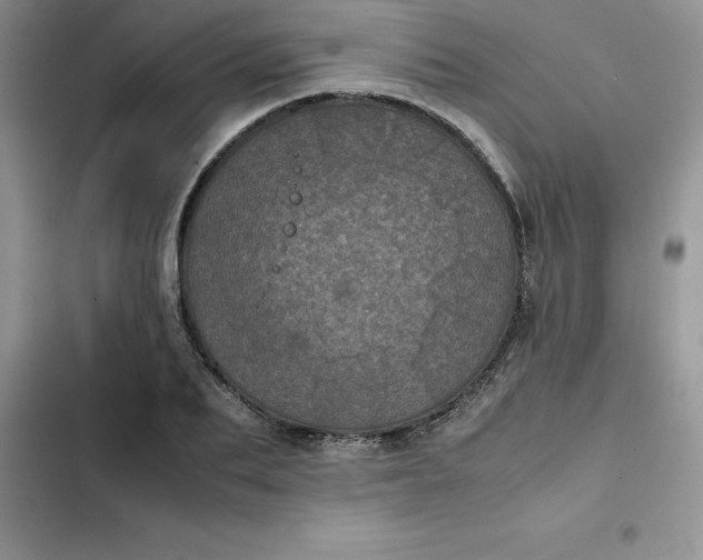 X0000102520887200808221839