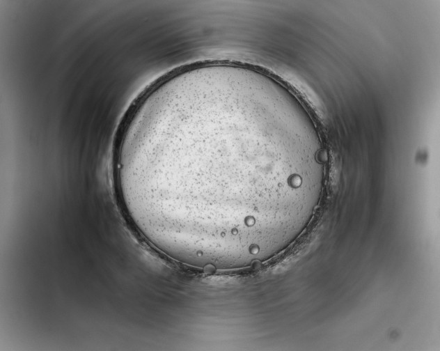 X0000102520888200808221839