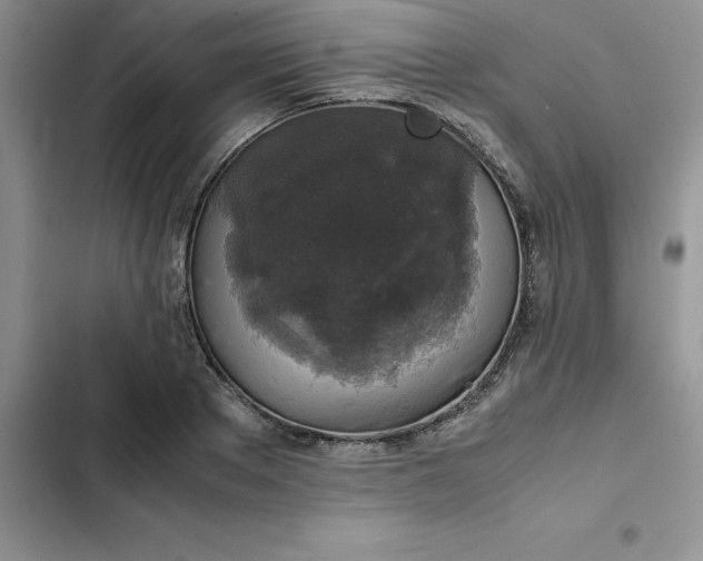 X0000102520889200808221839