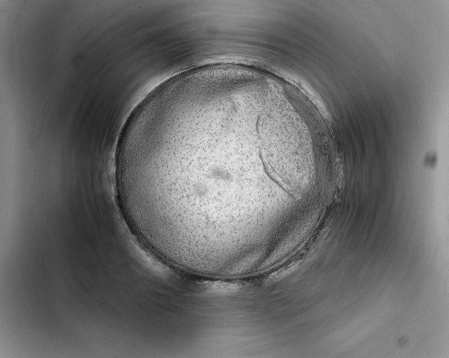 X0000102520890200808221839