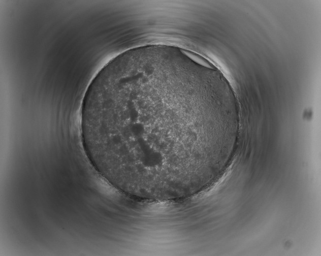 X0000102520891200808221839