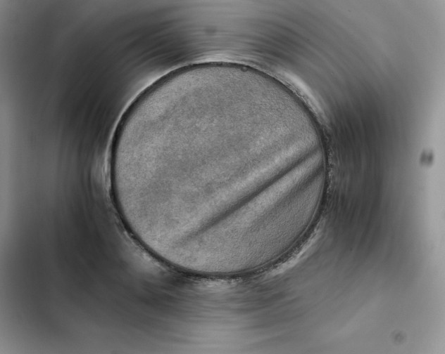 X0000102520892200808221839