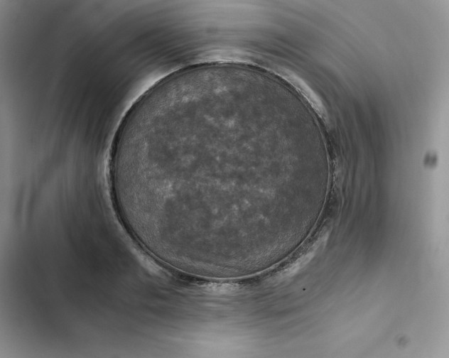 X0000102520893200808221839