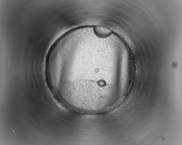 X0000102520894200808221839