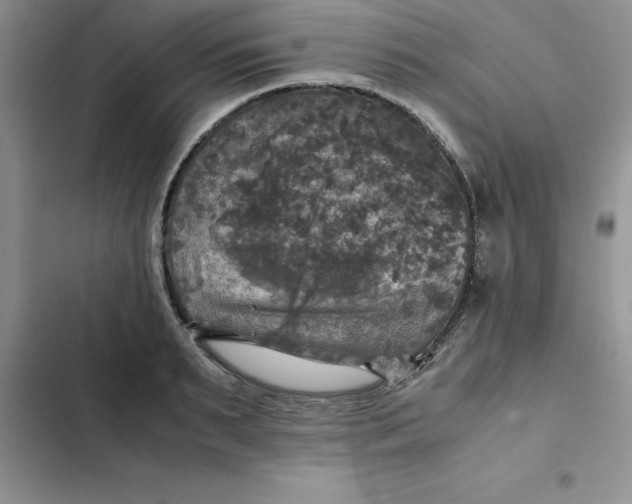 X0000102520895200808221839