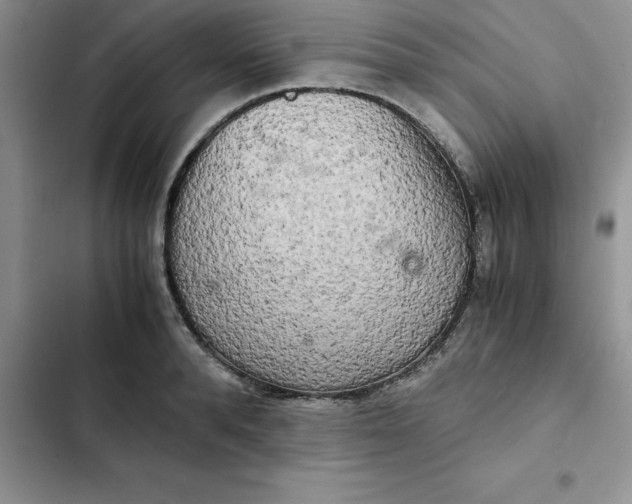 X0000102520896200808221839