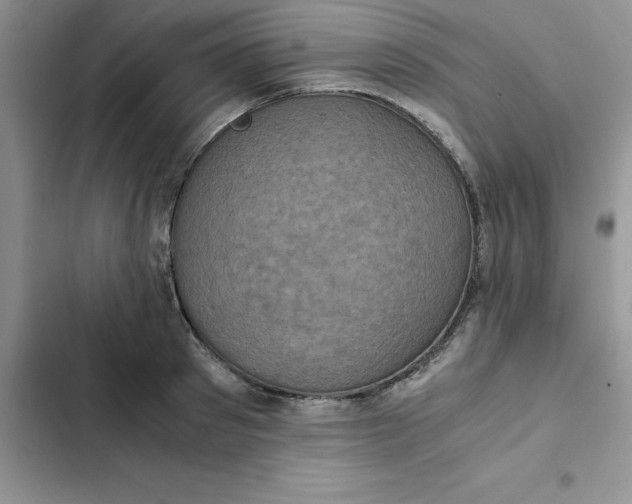 X0000102520897200808221839