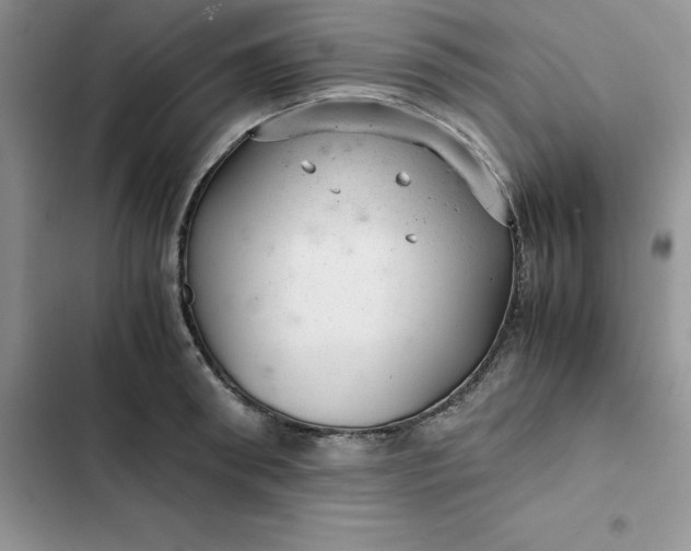 X0000102520898200808221839