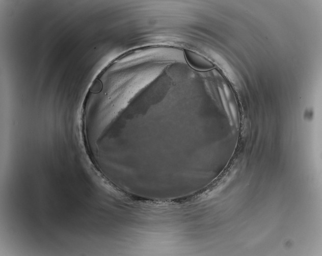 X0000102520899200808221839