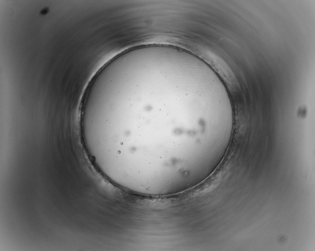 X0000102520900200808221839