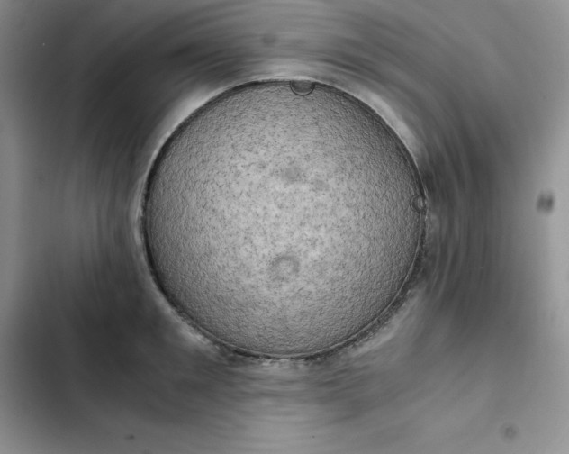 X0000102520901200808221839