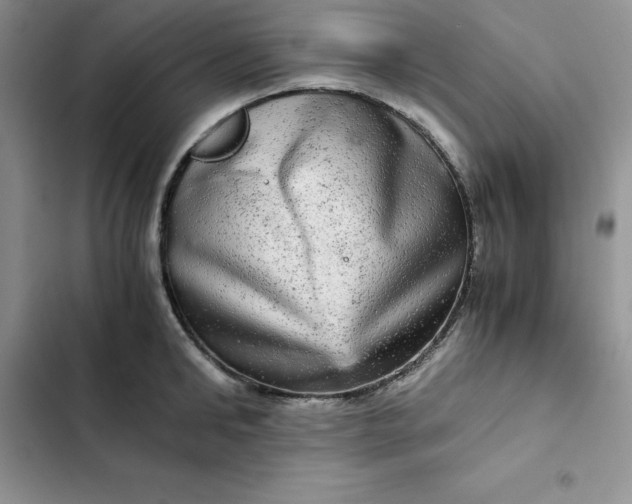 X0000102520902200808221839