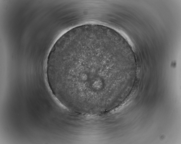 X0000102520903200808221839