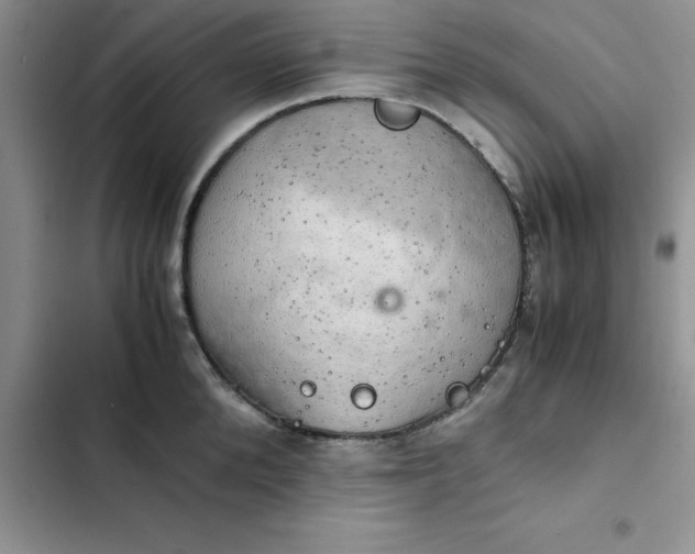 X0000102520904200808221839