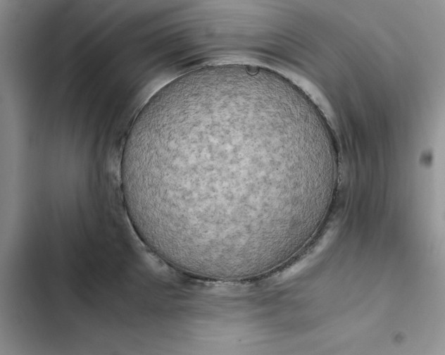 X0000102520905200808221838