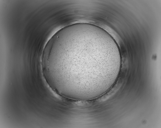 X0000102520906200808221838