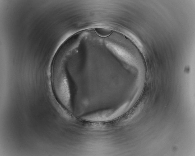 X0000102520907200808221838