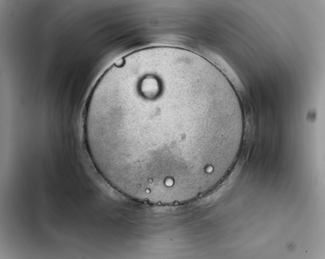 X0000102520908200808221838