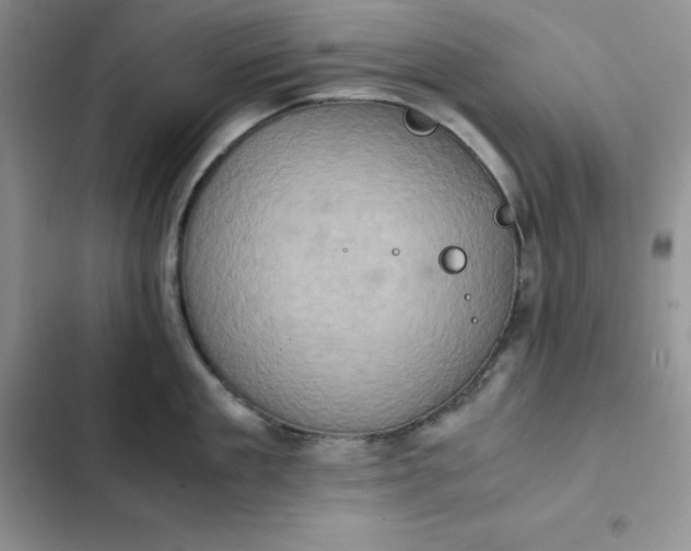 X0000102520909200808221838