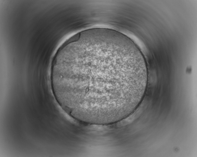 X0000102520910200808221838