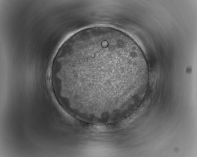 X0000102520911200808221838