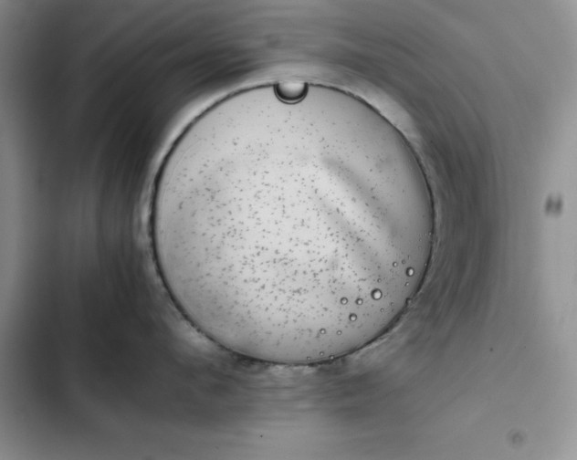 X0000102520912200808221838