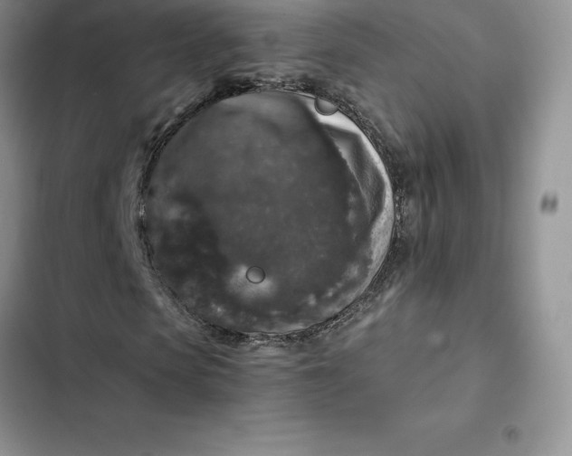 X0000102520913200808221838