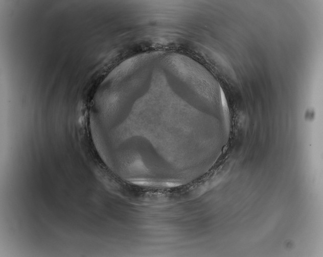 X0000102520914200808221838