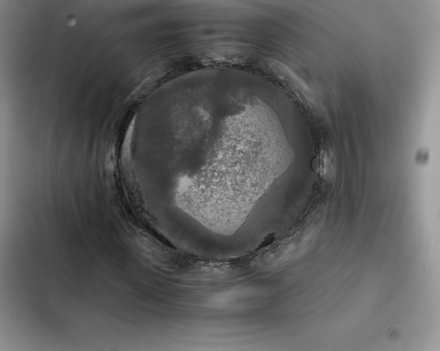 X0000102520915200808221838