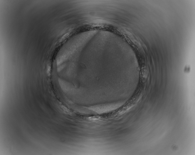 X0000102520916200808221838