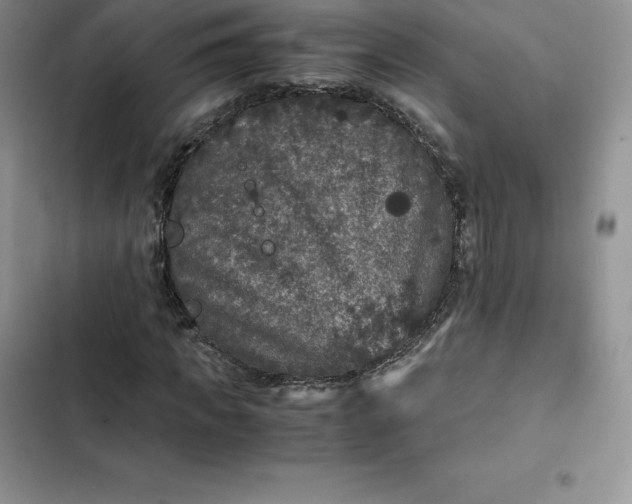 X0000102520917200808221838