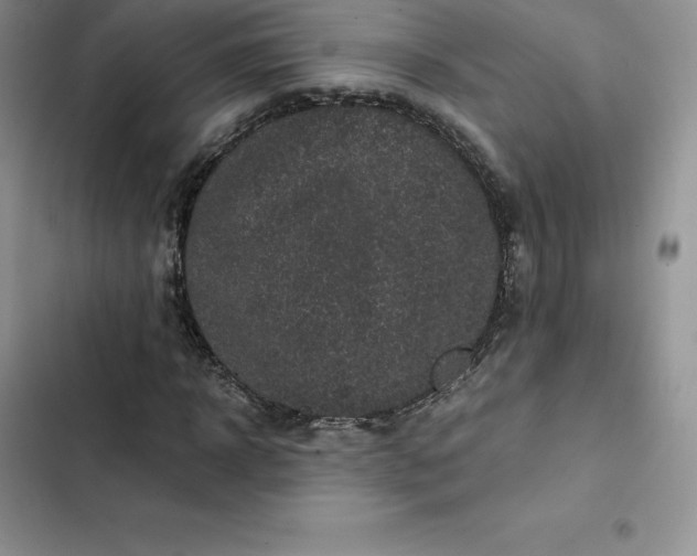 X0000102520918200808221838