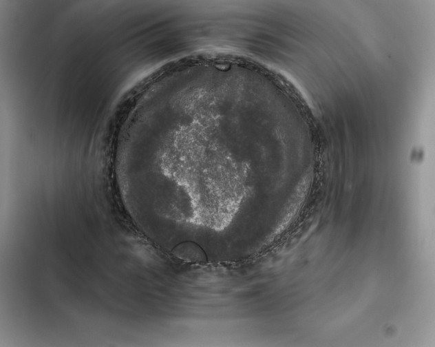 X0000102520919200808221838