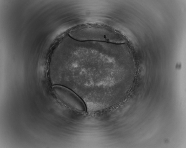 X0000102520920200808221838