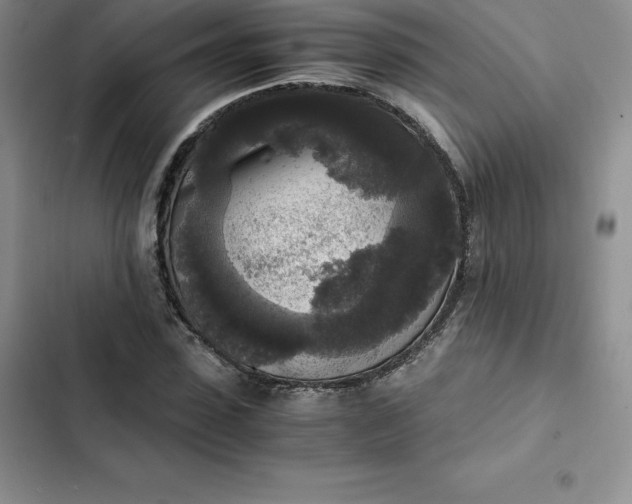 X0000102520923200808221838