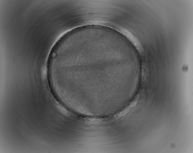 X0000102520924200808221838