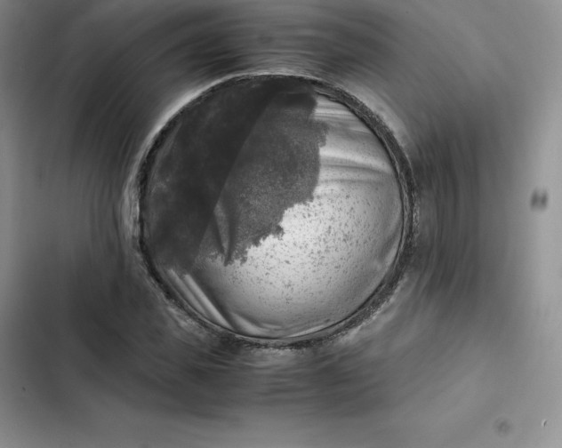 X0000102520925200808221838