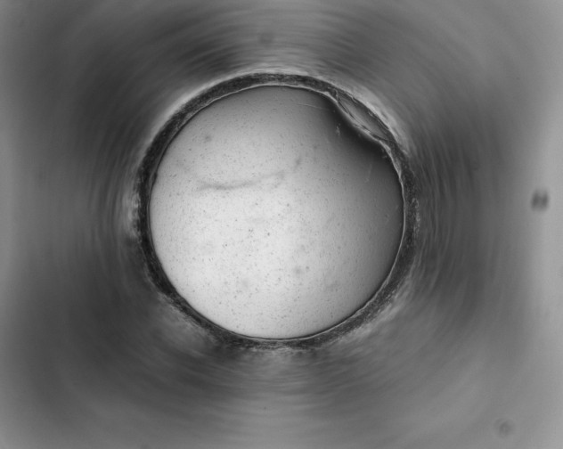 X0000102520926200808221838