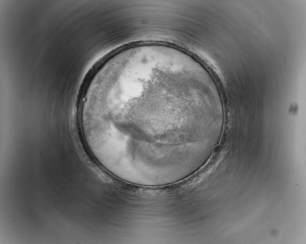 X0000102520928200808221838