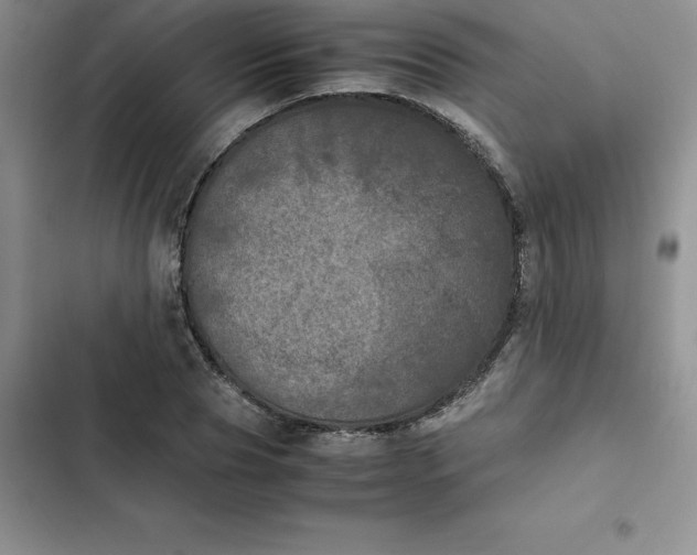 X0000102520929200808221838