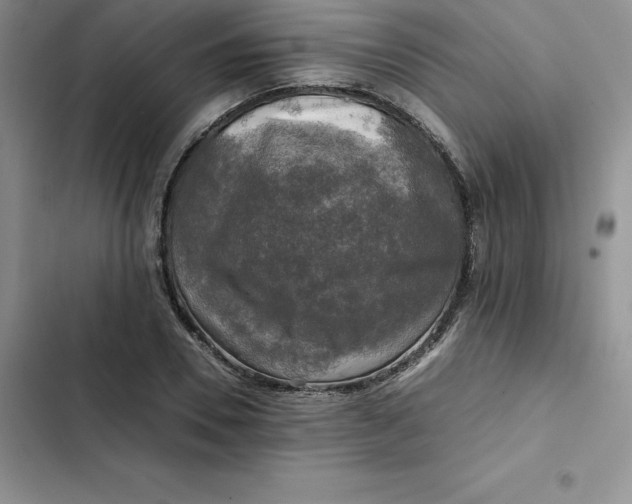 X0000102520930200808221838