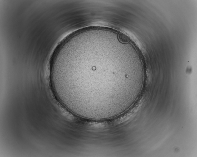 X0000102520931200808221838