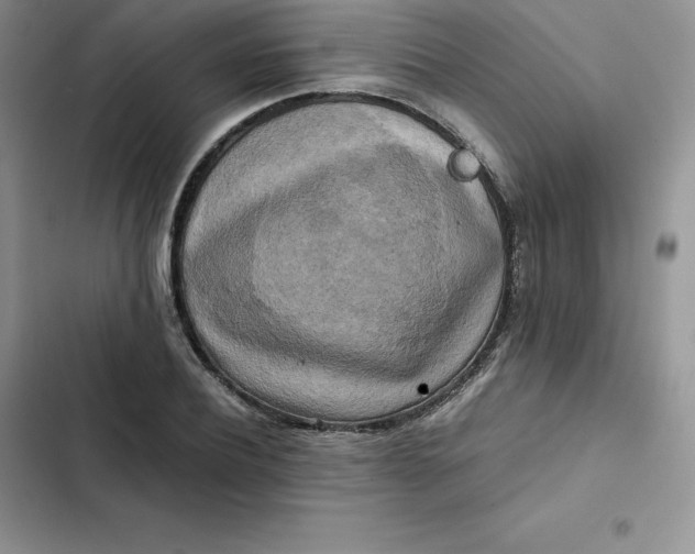 X0000102520932200808221838