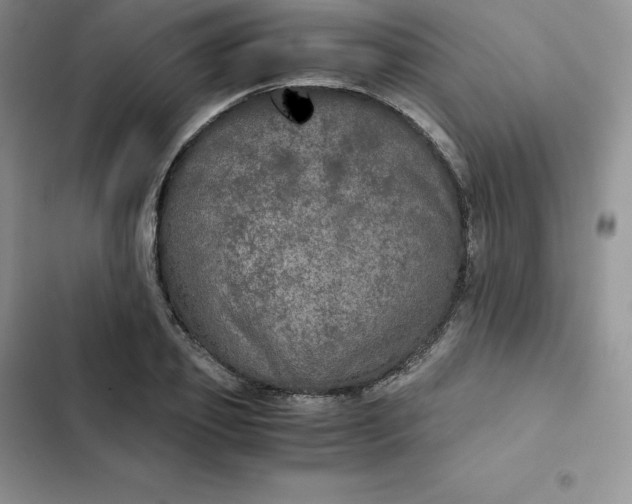 X0000102520933200808221838