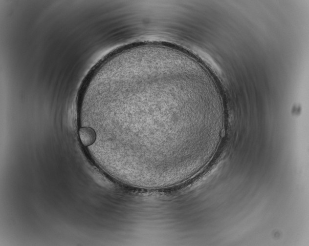 X0000102520934200808221838