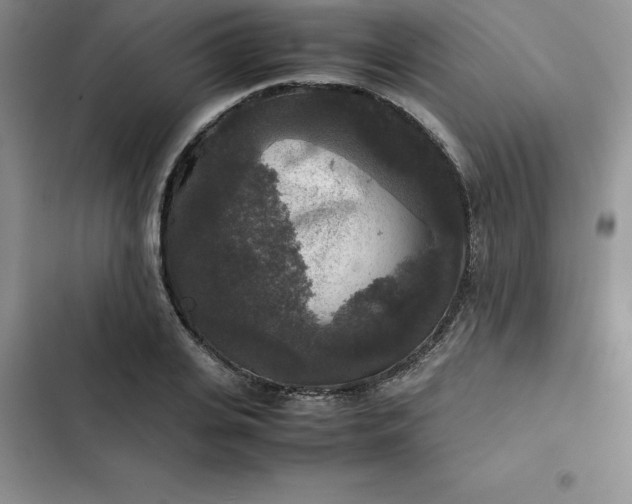 X0000102520935200808221838