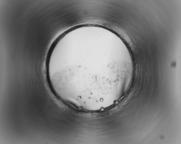 X0000102520936200808221838