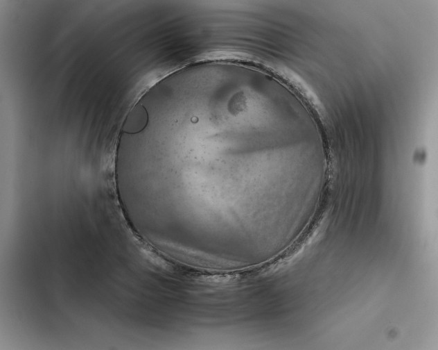 X0000102520937200808221838